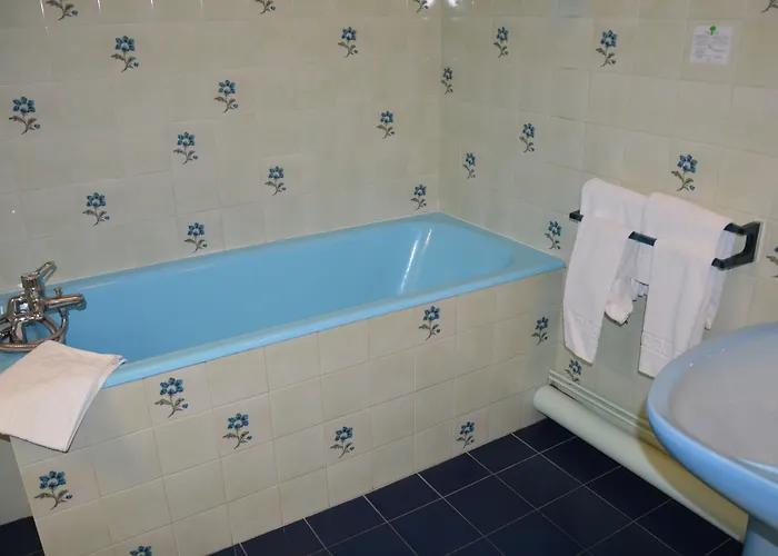 فندق Au Chapon Fin بواتييه